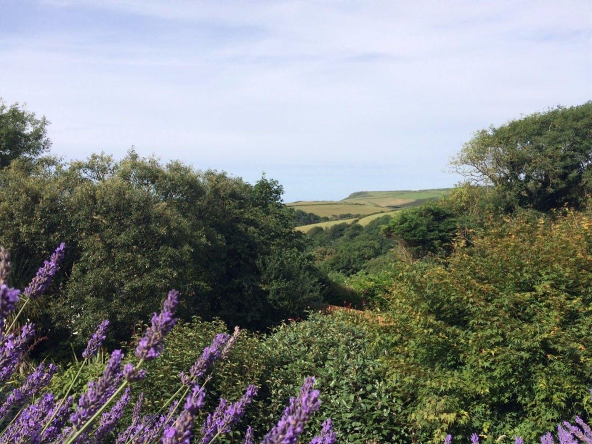 Boscastle House Exterior foto