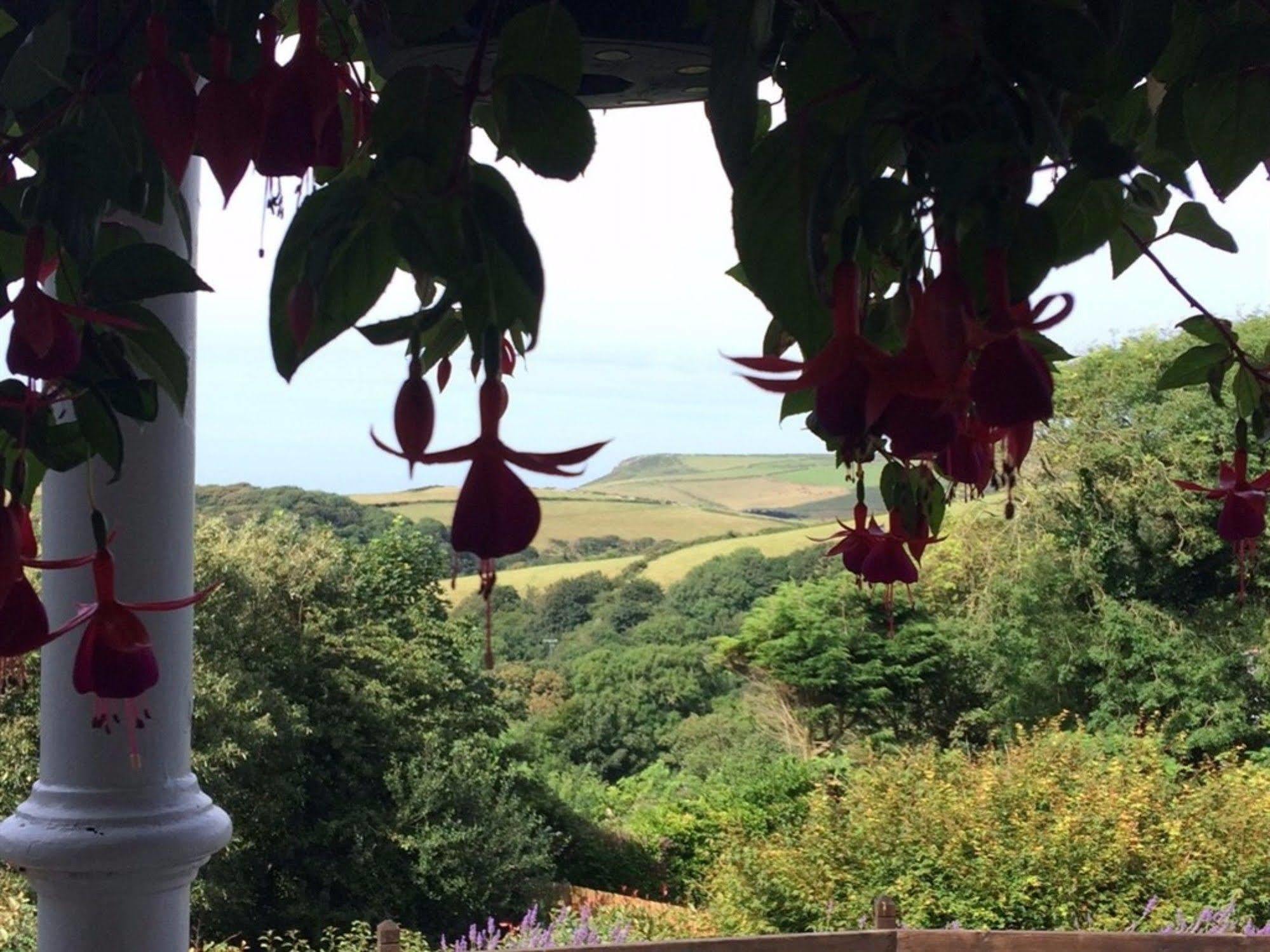 Boscastle House Exterior foto